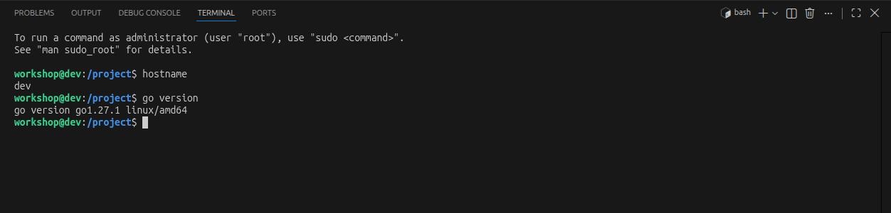 The integrated terminal inside the workshop showing the hostname and go version commands and their output